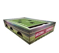 NFL Arizona Cardinals Stade de football pour chat Find & Play Boîte à chat Jouet pour chat avec 2 balles à grelots pour chat NFL Football Field Felt Scratcher Play and Lounge Jeu pour chat stimulant