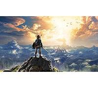 NFRAZ Kit de peinture diamant 5D à faire soi-même, dessin de la légende de Zelda Breath of the Wild, pour adultes, broderie strass, décoration murale, perceuse complète, 40 x 50 cm