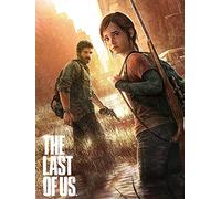 NFRAZ Peinture diamant 5D à faire soi-même, affiche du jeu The Last of Us, broderie complète au point de croix, mosaïque, 30 x 40 cm