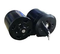 NFVYFFFGR Moteur sans balais à Rotor Externe 24 V/12 V, diamètre 36 mm, servomoteur sous-Marin Rov 300 KV, étanche, for Robot et Scooter