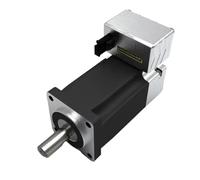 NFVYFFFGR Servomoteur intégré 24 V, 40 mm de diamètre, 100 W, 3000 TR/Min, Moteur CC sans balais à Fente for fenêtres et Portes Mobiles