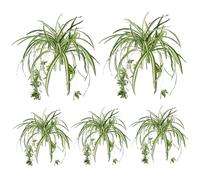 Ngbbby 5 pièces Plante araignée 22 Pouces Plante araignée Artificielle Suspendue avec tête de Fleur Verdure en Soie réaliste Longue durée pour inté