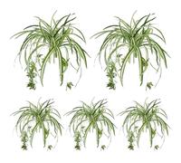 Ngbbby Plante araignée Artificielle Suspendue de 52 Pouces, 5 pièces, avec tête de Fleur, Verdure en Soie réaliste et pour l'intérieur, l'extérieur et la décoration la Maison