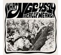 NGC-4594 - What Ngc-4594 Really Means! [VINYL]