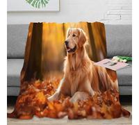NGGADIWEG 3D Imprimé Golden Retriever Couverture Polaire Microfibre Chaud Autumn Forest scène Jeté de Lit Légère Infroissable pour Propriétaires Locataires Adultes 60x80inch(150x200cm)