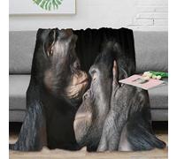 NGGADIWEG 3D Imprimé Primate Affection Plaid de Salon Microfibre Literie Animal Bonding Couverture Polaire Cadeau pour Voyageurs Aventuriers 60x80inch(150x200cm)