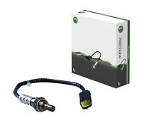 NGK -6496 threadfix Sonde