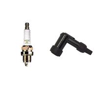 NGK - BOUGIE ALLUMAGE BOITE - BR10ES & ANTIPARASITE BOITE - LB05E