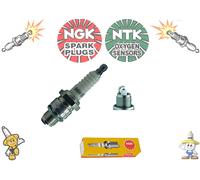 NGK Bougie D'Allumage - B6HS-10 - Pour Suzuki DT6, 8c, 9.9, 9.9c 2-Cyl - 1052 x1