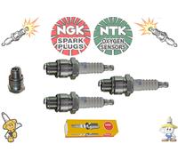 NGK Bougies D'Allumage - BR7HS-10 - Pour Suzuki DT9.9 2-cyl - DT30c 3-cyl - 1098