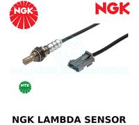 Ngk Sonde Lambda(Oxygène O2) - 4 Câble - Stk N° :7979 , Pièce N° : OZA676-EE1
