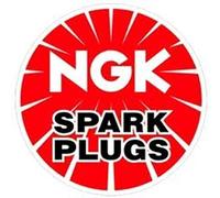 NGK 9029 Bougie d'allumage