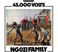Ngozi Family - 45,000 Volts