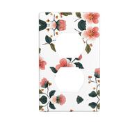 Nh4m5o4m Plaque murale de prise duplex, taille standard 1 bande, polycarbonate thermoplastique.