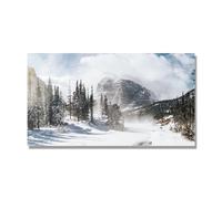 NHLDZYH Tableau Nature Hivernale, (Pins de montagne dans la tempête de neige) - Déco Murale Scandinave et Moderne pour Apporter la Sérénité dans votre Salon. 40x72cm Toile uniquement.