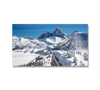 NHLDZYH Tableau Nature Hivernale, (Sommets rocheux enneigés) - Déco Murale Scandinave et Moderne pour Apporter la Sérénité dans votre Salon. 40x72cm Toile uniquement.