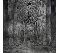 Nhor - Within The Darkness Between The Starlight [Vinyl LP]