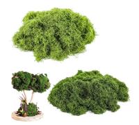 NHPY 160g de mousse décorative, mousse artificielle,fausse mousse végétale decorative, fausses plantes pour pots, décoration de crèche (80g vert clair + 80g vert foncé)