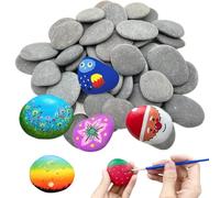 NHQZ 30 Pcs Pierre à Peindre, Cailloux pour Peinture, Gros Cailloux Lisses pour Peinture