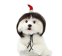 NHQZ Animali Perruque pour Animaux de Compagnie Coiffure DIY Cheveux Taille M