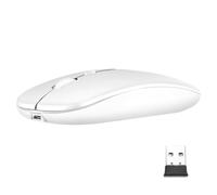 NHQZ Souris sans Fil Rechargeable Souris rétroéclairée de 7 Couleurs avec Mini récepteur USB de 2,4 GHz Souris Gaming Compatible avec Ordinateur Portable PC Ordinateur(b)
