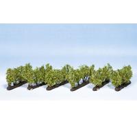 Ni H0 TT 21540 vignes