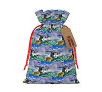 Niagara Falls Sac de Noël avec cordon de serrage pour tous les adultes