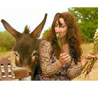 Niagara - Le Minotaure