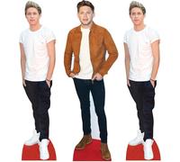 Niall Horan - Set de 3 décorations de table
