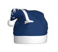 Nianyuer Chapeau de Père Noël imprimé drapeau de la Caroline du Sud - Chapeau de Père Noël amusant - En peluche douce pour les vacances en famille