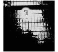 Niblock,Phill / Clementi,Anna / Stern,Thomas - Zound Delta 2 [Vinyl Lp]