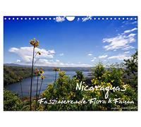 Nicaraguas faszinierende Flora & Fauna (Wandkalender 2026 DIN A4 quer), CALVENDO Monatskalender: Traumschönes Wetter, herrliche weiße Sandstrände mit ... Urwälder ... Nicaragua wird Sie begeistern!