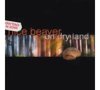 Nice Beaver - on Dry Land