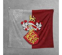 Nice Captain Tapisserie murale à suspendre au Moyen-Âge, style médiévale, écusson national ancien, 1 x 1,25 m, art mural (Angleterre)