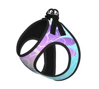 Nice Feathers Harnais pour chien avec sangles réfléchissantes et boucles à dégagement rapide Convient aux petits chats et chiens