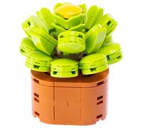 Nice Mattoncini - Exotic Plants - Ensemble de Construction en Blocs de la Plante Aeonium Canariens - Cod 78044