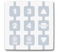 NICE Niceway WM004G pour volets roulants