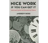 Nice Work If You Can Get It by Andrew Ross Andrew Ross (Auteur)