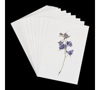NICENEEDED 50 Feuille de Papier Buvard pour Presse à Fleurs Papier Buvard A4 hautement Absorbant et Réutilisable Papier Buvard de 8.26 x 14.7(5) cm pour Presser Les Fleurs et L'Herbier