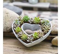 NICETOW Jardinière succulente en Forme de Coeur avec Trou de Drainage, Pots de Plantes d'extérieur en Ciment, Grands Pots de Fleurs décoratifs Pot de bonsaï Pot de Cactus pour la décoration de la ma