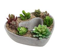 NICETOW Jardinière succulente en Forme de Coeur avec Trou de Drainage, Pots de Plantes en Ciment d'extérieur, Grands Pots de Fleurs décoratifs Pot de bonsaï Pot de Cactus pour Jardin Home Decor-Cime