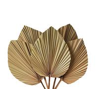 Nicfaky Décoration de pièce avec feuilles de palmier séchées, 5 pièces, 45,7 x 25,4 cm, grande décoration en feuille de palmier pour un bel aspect bohème