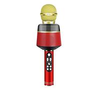 Nicfaky Karaoke Portable Bluetooth Mini USB Fils pour KTV Haut-parleur Professionnel Chanteur Enregistreur Rouge