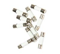 Nicfaky Lot de 10 fusibles en céramique à souffle de 250 V 0,5 à 500 mais tubes 5 mm x 20 mm