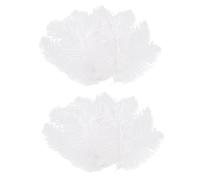 Nicfaky Lot de 20 plumes d'autruche naturelles blanches 20-25 cm
