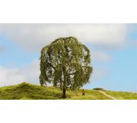 Nich Z - G 20115 arbre saule deuil
