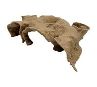 Niche d'aquarium réaliste avec plusieurs entrées pour poissons crevettes et enrichissement Betta Fish Hiding House