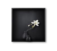 Niche De Douche en Acier Inoxydable 12,6" X 12,6", Niche Murale À Insertion Murale, Étagère Simple, Procédé De Peinture sans Joint, Saine Et Écologique, Noir