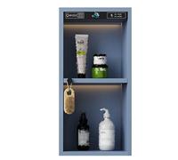 Niche de douche en acier inoxydable - Étagère de salle de bain encastrée avec lumières LED pour shampooing et savon - Installation murale cachée - Décoration d'intérieur