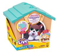 Set de Jeu Peluche et Niche. Révélation Surprise ! Construis la Niche de Ton Chiot et Donne-Lui Un nom : Un Chiot apparaît ! Quel Chiot Vas-tu découvrir ? Niche DIY Facile. À partir de 5 Ans.